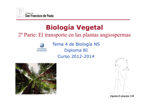GTP_T4.Biología vegetal - Ciencias con D. Germán