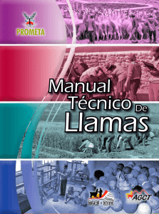 Manual Técnico de Llamas