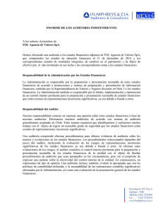 Dictamen Auditores Externos - Superintendencia de Valores y