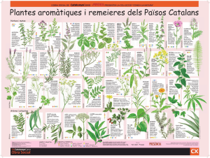 Plantes aromàtiques i remeieres dels Països Catalans
