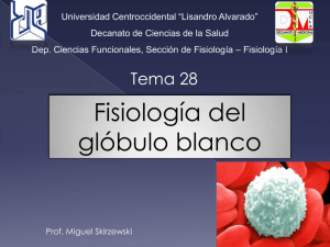 Fisiología del Glóbulo Blanco - Universidad Centroccidental