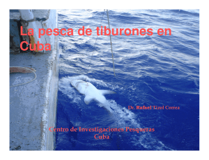 La pesca de tiburones en Cuba