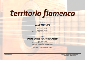 -territorio flamenco