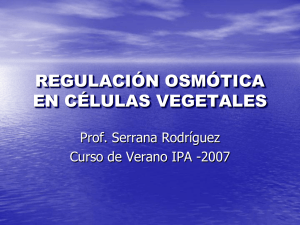 regulación osmótica en células vegetales