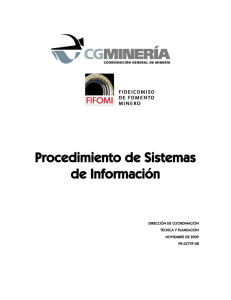 Procedimiento de Sistemas de Información