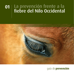 La prevención frente a la fiebre del Nilo Occidental 01