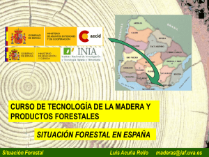 TEMA 01 Situacion Forestal En Espana