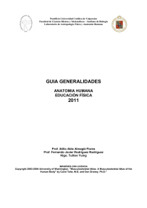 musculos generalidades 2011 - Pontificia Universidad Católica de