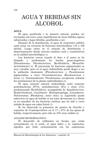 16) Agua y bebidas sin alcohol