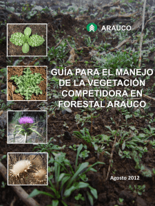 Guía Manejo Vegetación Competidora sept 2012 [biof]