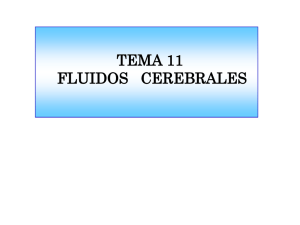 TEMA 11 FLUIDOS CEREBRALES