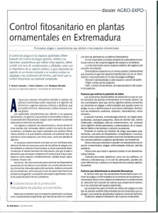 Control fitosanitario en plantas ornamentales en Extremadura