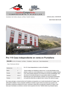 Pro 115 Casa independiente en venta en Puntallana