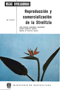 Reproducción y comercialización de la Strelitzia