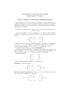 Matrices y sistemas de ecuaciones lineales.