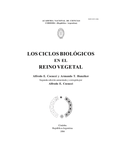 LOS CICLOS BIOLÓGICOS REINO VEGETAL