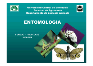 Entomologia - Universidad Central de Venezuela