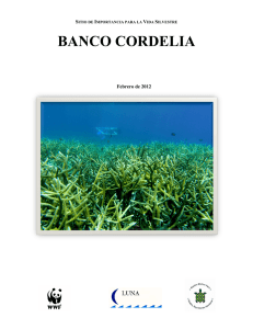 banco cordelia - Reef Resilience