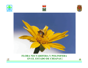 flora nectarifera y polinifera en el estado de chiapas