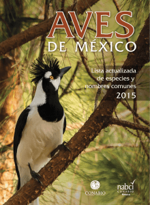 Aves de México: lista actualizada de especies y nombres comunes