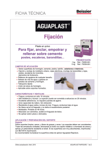 Ficha Técnica Aguaplast Rapiduro