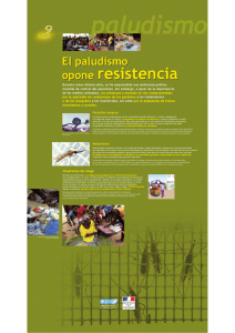 El paludismo opone resistencia ( PDF , 864 Ko)