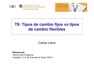 T9: Tipos de cambio fijos vs tipos de cambio flexibles