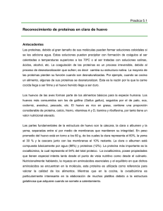 1. Reconocimientos de proteinas huevo