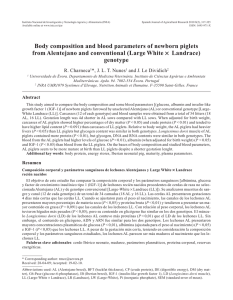 Body composition and blood parameters of newborn piglets