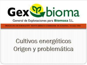 La Biomasa como fuente de Energía Renovable y los