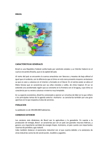 brasil caracteristicas generales poblacion comercio exterior