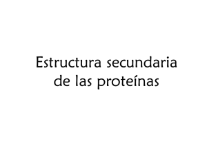 Estructura secundaria de las proteínas