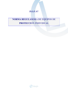 pop/07 norma reguladora de equipos de protección individual
