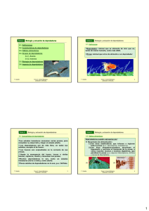 Biología y actuación de depredadores 3.1. Definiciones 3.2