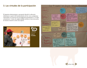 3. Las virtudes de la participación