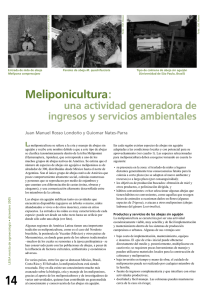 Meliponicultura: una actividad generadora de ingresos y servicios