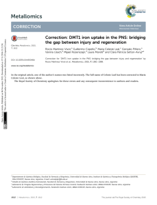 Correction: DMT1 iron uptake in the PNS: bridging the gap between
