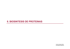 8. biosintesis de proteinas - OCW Usal