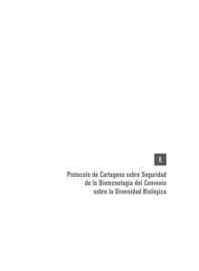 Protocolo de cartagena sobre Seguridad de la Biotecnología del