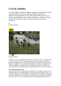Cría de caballos - BibliotecaDeaMag