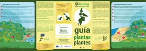 plantas plantes