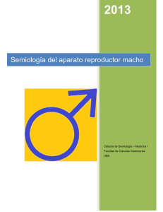 Semiología del aparato reproductor macho