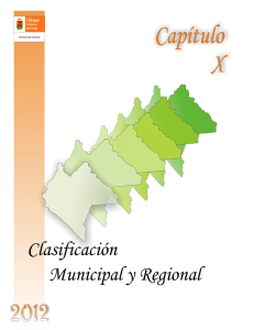 X.- Clasificación Municipal y Regional