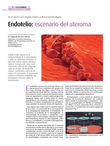 Endotelio: escenario del ateroma