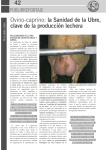 42 Ovino-caprino: la Sanidad de la ubre, clave de la producción
