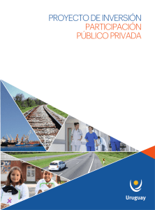 proyecto de inversión participación público privada
