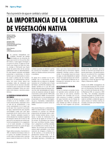 la importancia de la cobertura de vegetación nativa