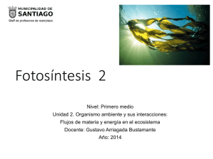 Fotosíntesis 2