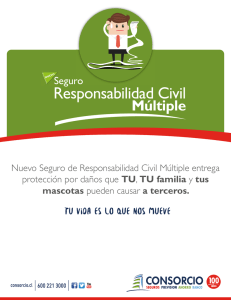 Responsabilidad Civil - Captura de pantalla para tuconsorcio.cl