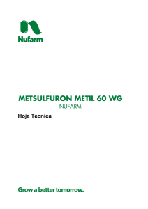 metsulfuron metil 60 wg